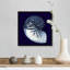 « Indigo shells VII » par vision studio-impression-1808968373-1808968361