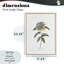 Camellia Flower Illustration, reproduction encadrée sous verre, conception de Cecilia Battaini-431695590-431695593
