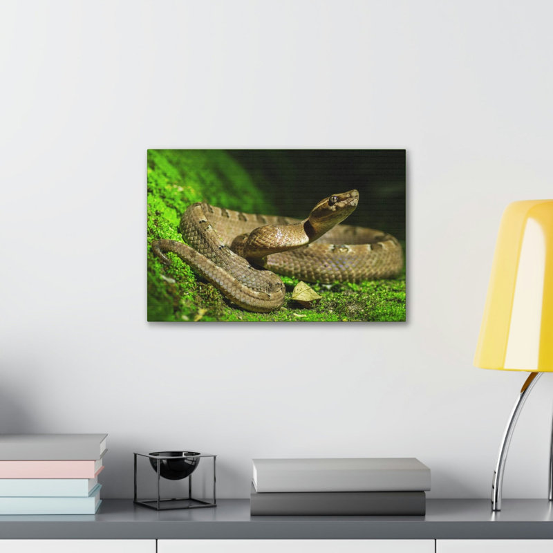 Art mural majestueux serpent, H 12 po x l 18 po