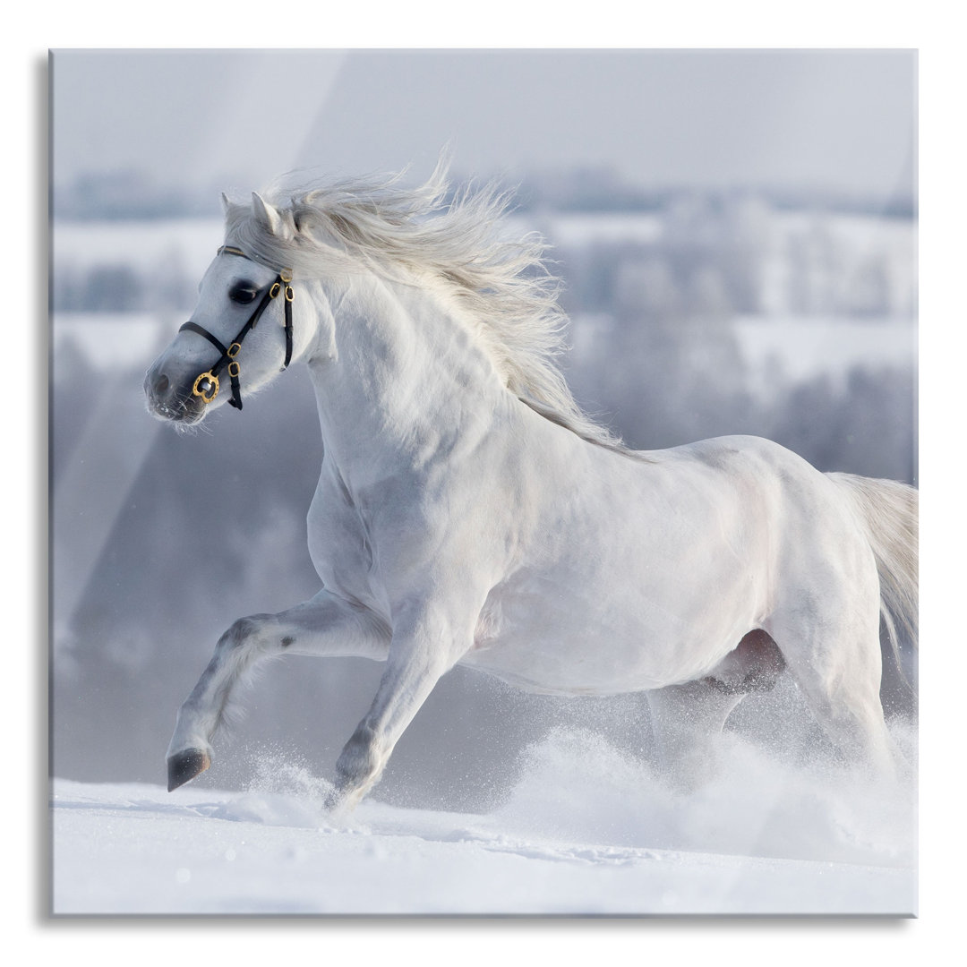 Ungerahmtes Foto auf Glas "Weißes Pferd in der verschneiten Wiese"