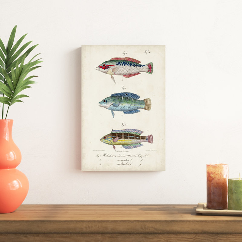 " Antique Fish Trio II ", 18" H x 12" W x 1.25" D