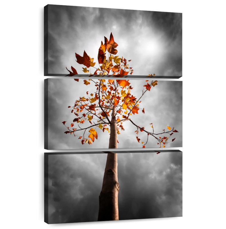 Alvord Stormy Sky Over Autumn Tree, 50" H x 32" W