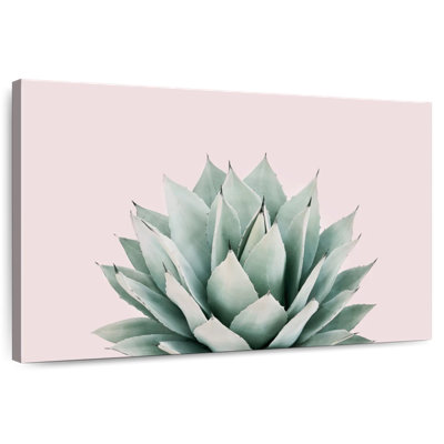 Agave Harnek Blush