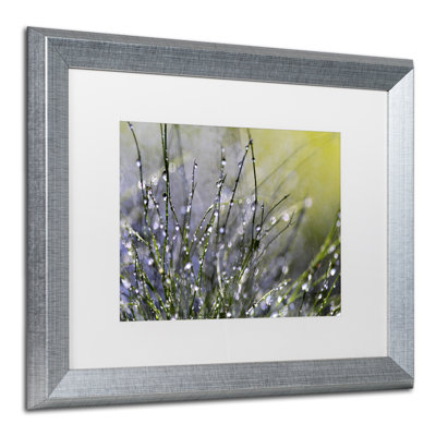 « spring matinée » par "beata czyzowska young, reproduction encadrée sur toile