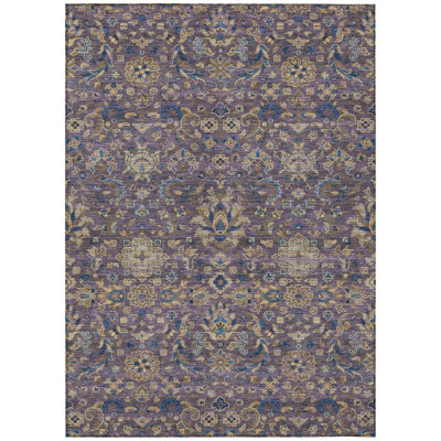 Machine Washable Indoor/Outdoor Chantille ACN2485 Global Rug
