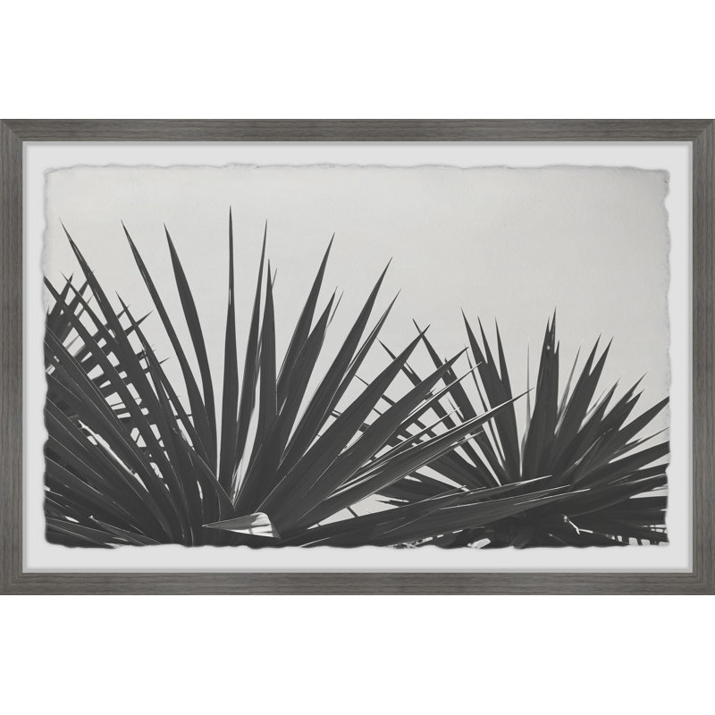 Blue Agave - Single Picture Frame Painting, 61 cm H x 91 cm W