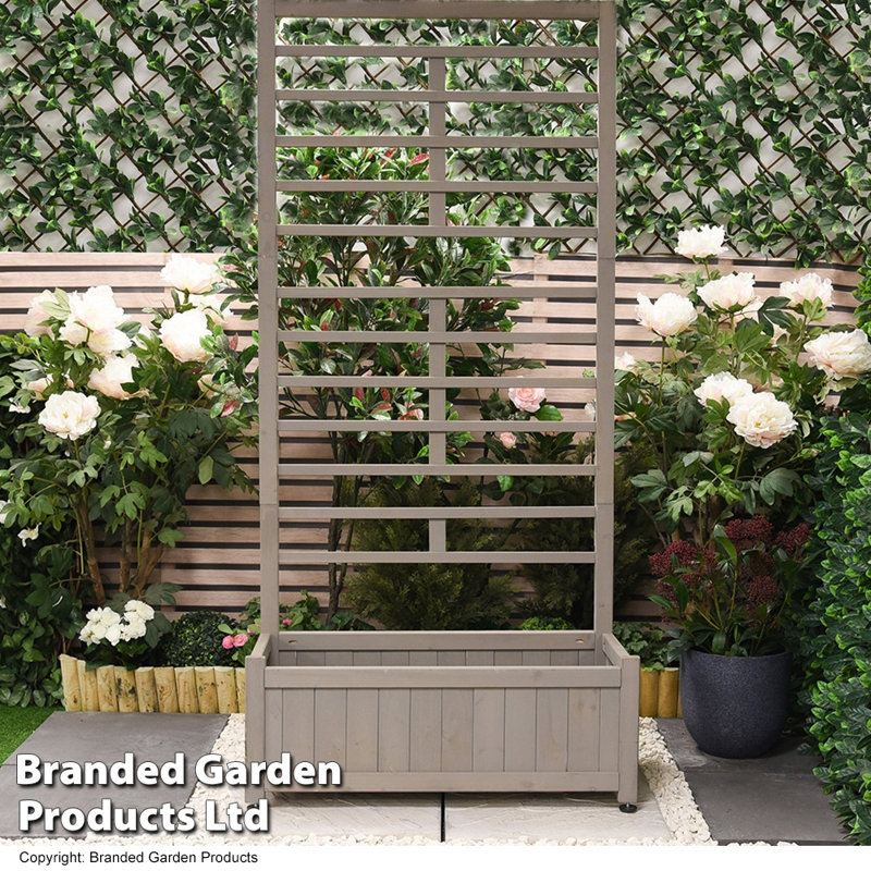 Bryam Wood Raised Garden Bed
