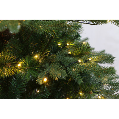 Lighted Christmas Tree
