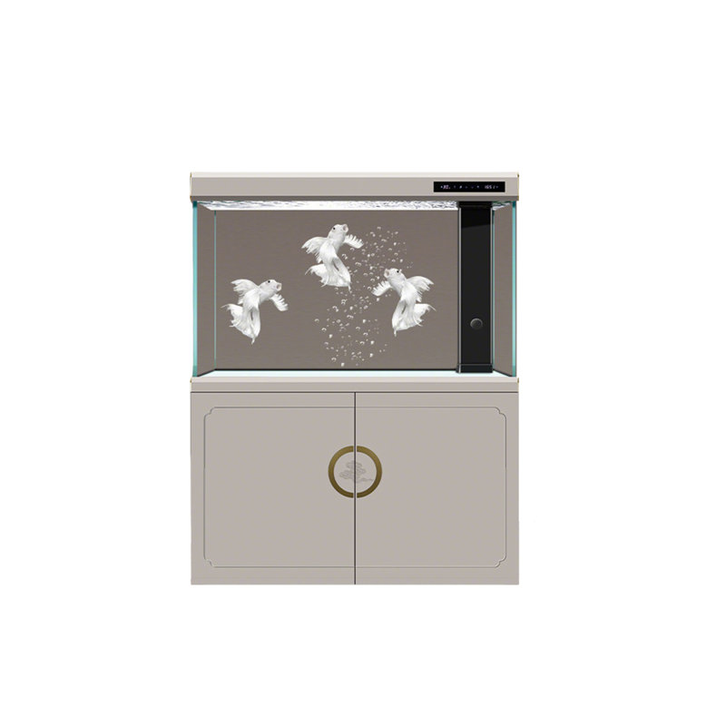Grand aquarium 39,37 po