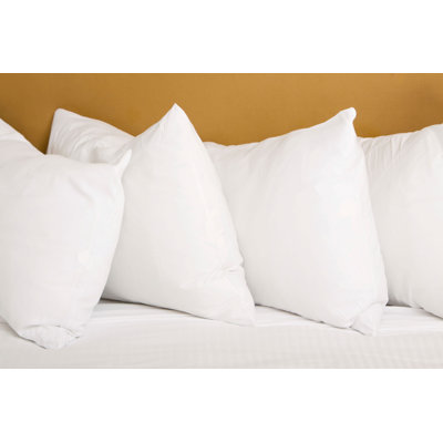 Louth Down Alternative Plush Pillow