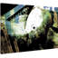 Parvez Taj - Wrapped Canvas Print-16673951