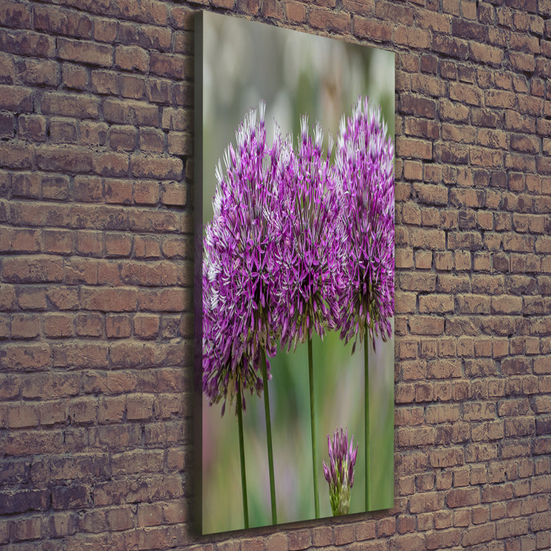 Garlic Flowers - Wrapped Canvas Print