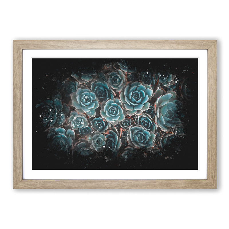 Succulent Plants - Picture Frame Graphic Art Print, Oak Framed, 24cm H x 33cm W x 2cm D
