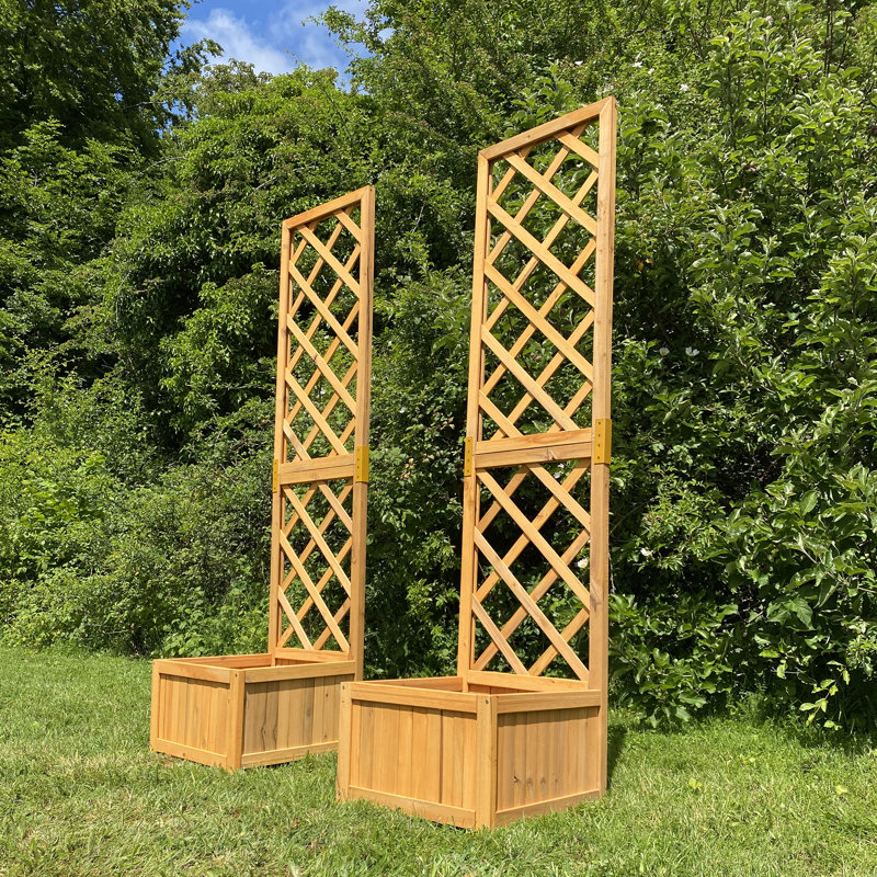 Hanh 160cm H x 40cm W Wood