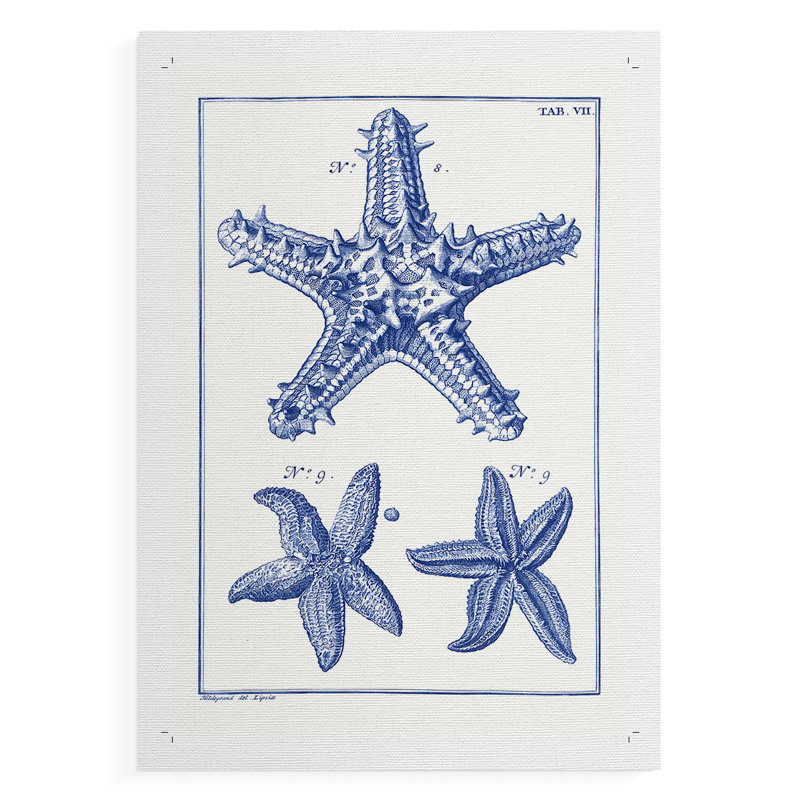 Blue Sea Stars V - Impression sur toile seulement - NON-CADRE, H 18 po x l 12 po