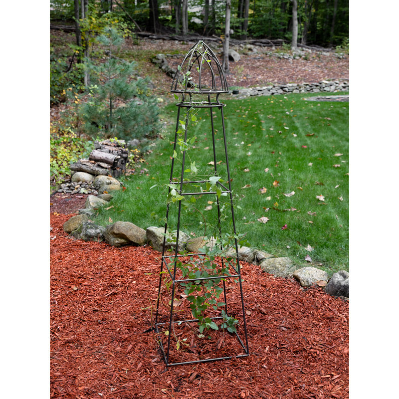 Ensemble de support pour plante 3 pièces
