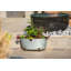 Keltner Metal Pot Planter-81114600