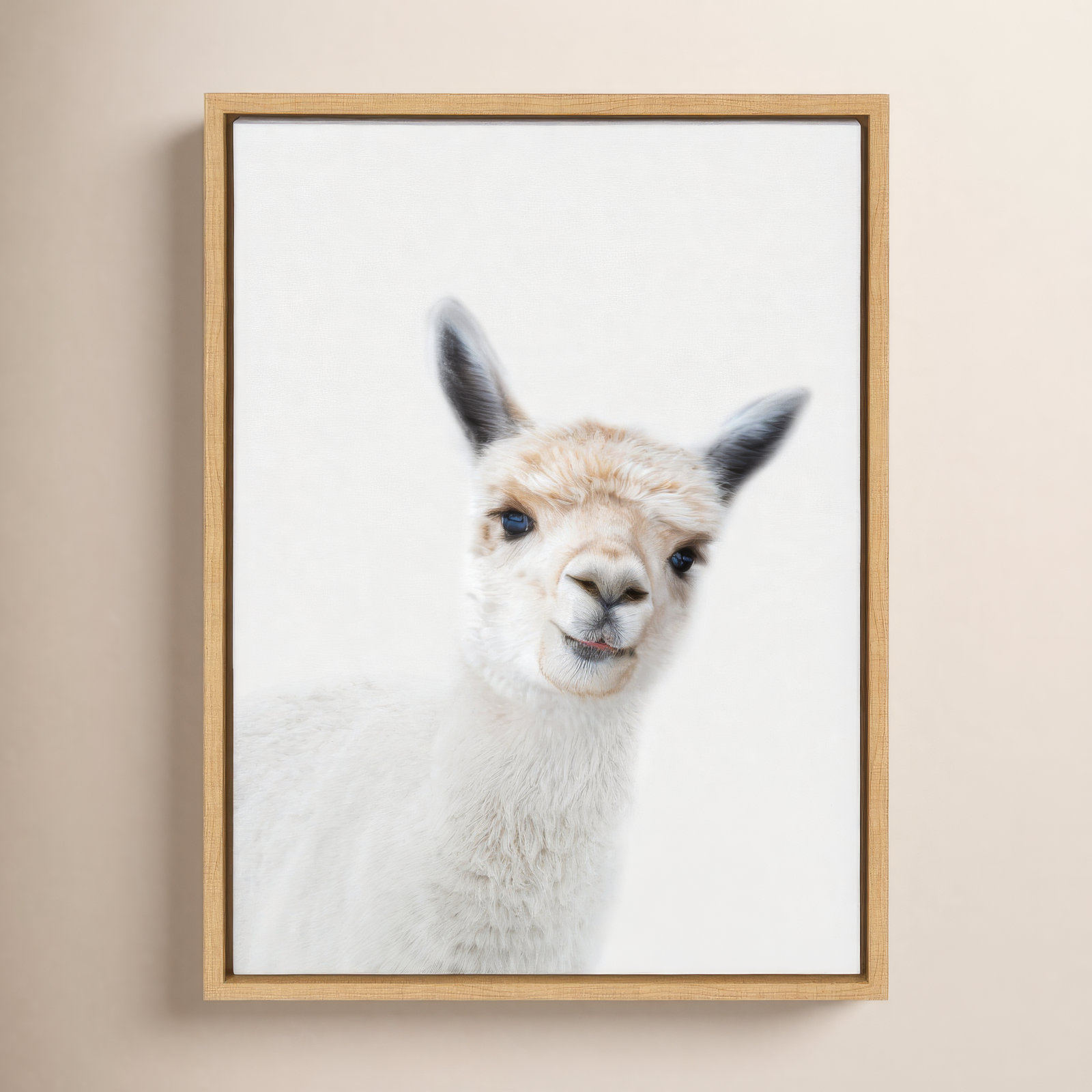 Studio Alpaca Graphic Art on Canvas, Natural Framed