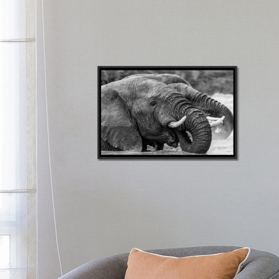 «Bathing Elephants» par Anders Jorulf - reproduction de photo sur toile tendue