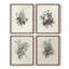 «Vintage Floral Print», impression encadrée, ensemble de 4-441298781
