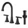 Widespread 2-handle Bathroom Faucet With Drain Assembly