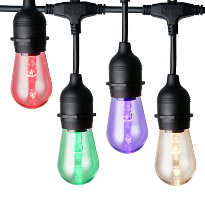 Outdoor 15 - Bulb 48'' Plug-in String Light