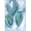 Try Again Painting by Thom Filicia