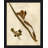 Pressed Botanical 21 - Reproduction d'art sur papier encadrée