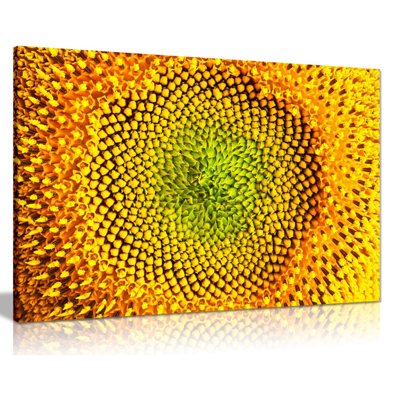 Yellow Sunflower Closeup - Wrapped Canvas Print, 31cm H x 20cm W