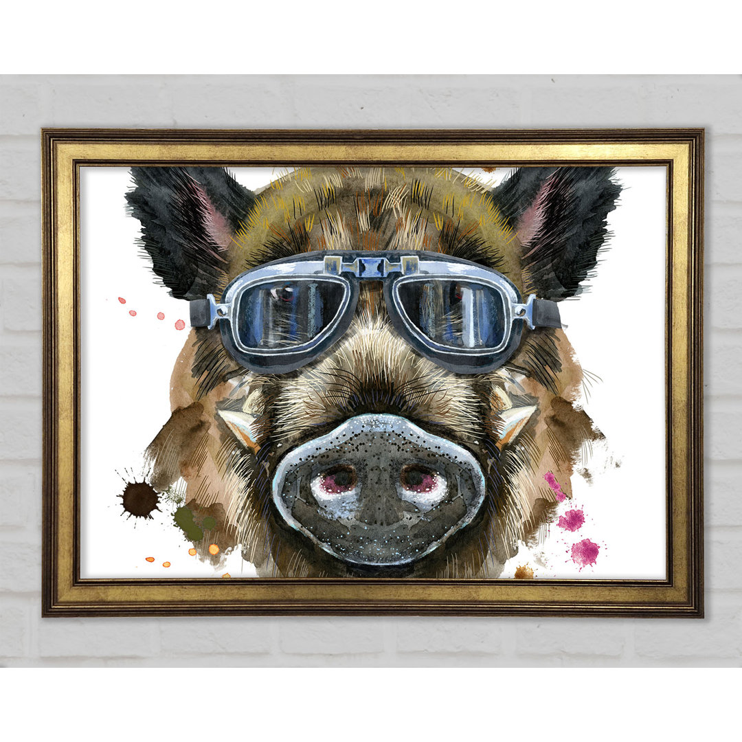 Das Wildschwein mit Brille - Druck