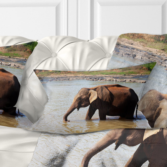 Coussin lombaire à l’eau de l’éléphant dans l’eau dans le sri lanka