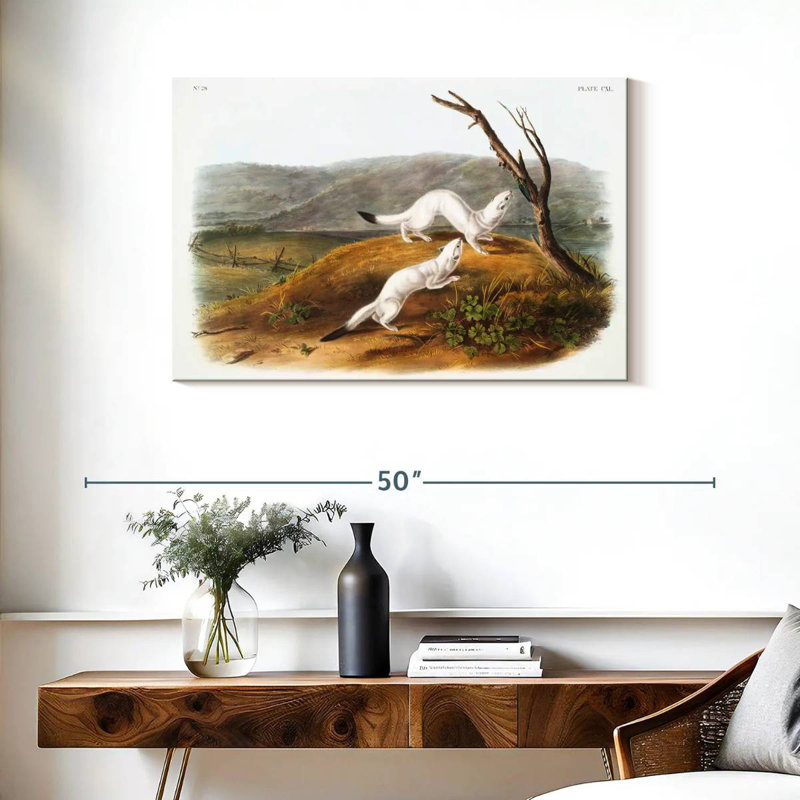 Brampt Little Nimble Weasel BW, 24" H x 36" W