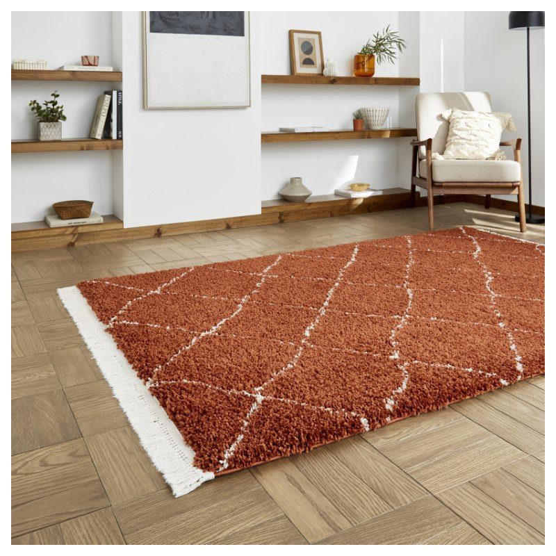 Pechler area rug Machine Woven Rust, Rectangle 120 x 170cm