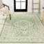 Tapis intérieur / extérieur crème / vert Aaleayah Medallion-1505997848