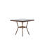 Genie 4 - Person Patio Dining Set with Square Table , Cushions Included-1532059523