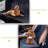 2-In-1 Dog Car Seat Cover For Back Seat-83412380-83412376