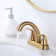 Centerset 2-handle Bathroom Faucet with Drain Assembly