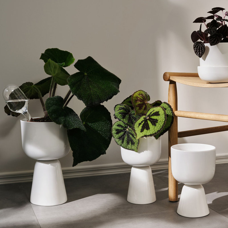 Nappula Ceramic Pot Planter, White, 12.48" H x 7.52" W x 7.52" D