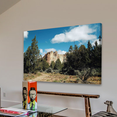 « view from the trail » par sylvia cook, reproduction d’art sur toile tendue