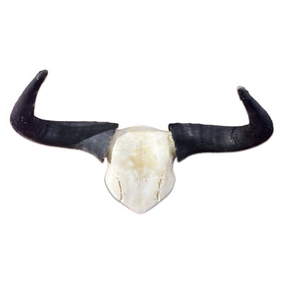 Wildebeest Skull Cap