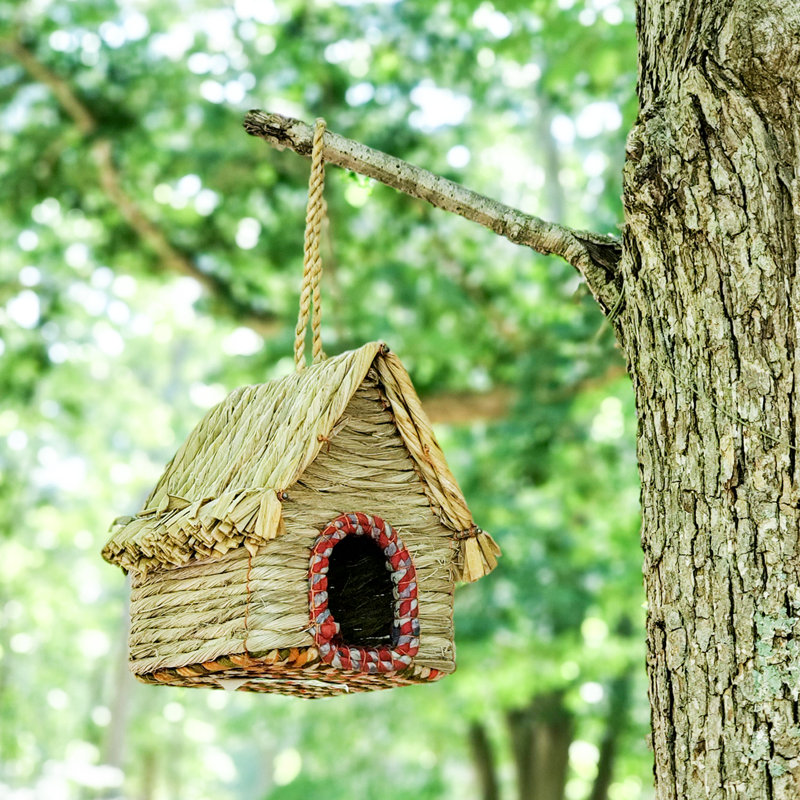 Maison d'oiseaux 11 po x 5 po x 5 po