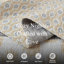 Ensembles de courtepointe 100% coton 98 po x 90 po DDUOXIN - 1 courtepointe avec 2 taies décoratives-117613579-117613576