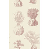 Coral 33' L x 20.5" W Wallpaper Roll
