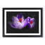 Purple Crocus Flower - Picture Frame Graphic Art Print-56861759-56861755