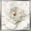 Pivoine neutre - peinture-1649405059-1649405056