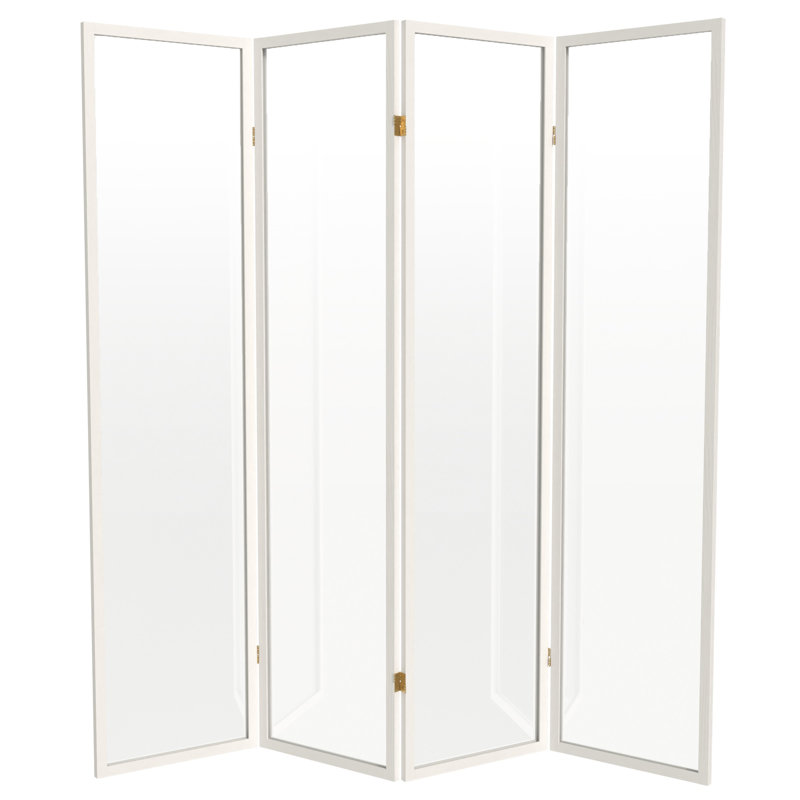 Cloison en plastique transparent Alayzhia, 4, 6 pi, Blanc