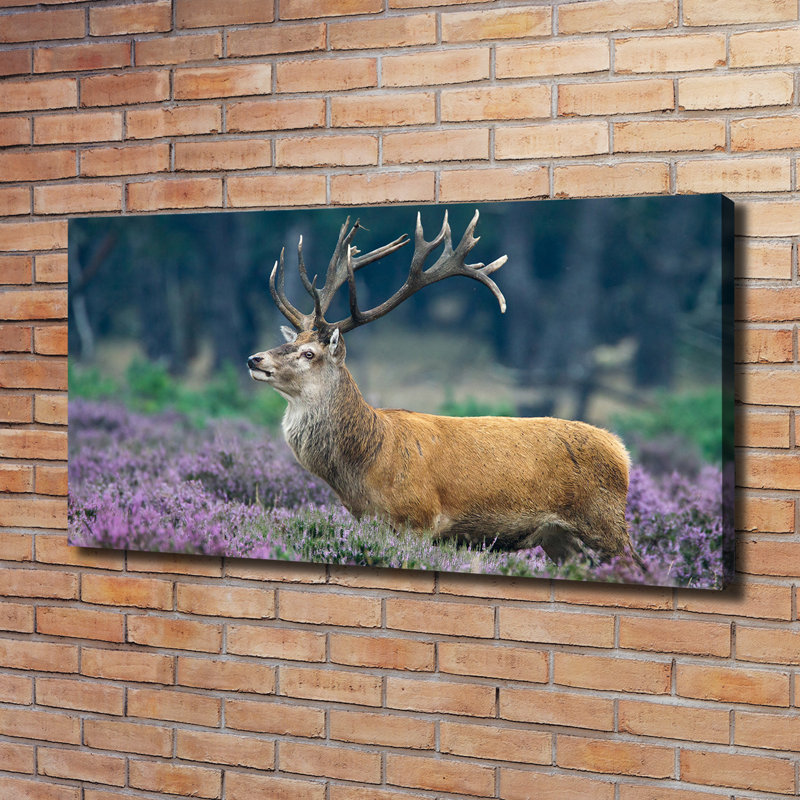 Deer Among Lavender - Wrapped Canvas Print