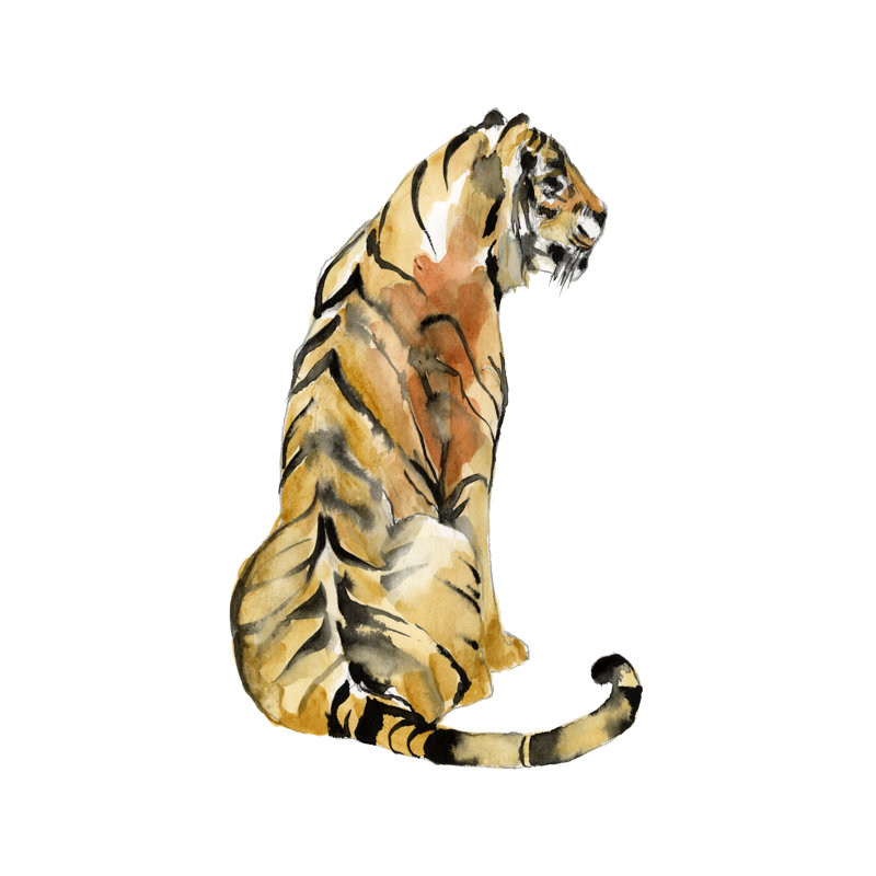" Sitting Tiger I " by Jennifer Goldberger Painting Print, 18" H x 12" W x 1.25" D