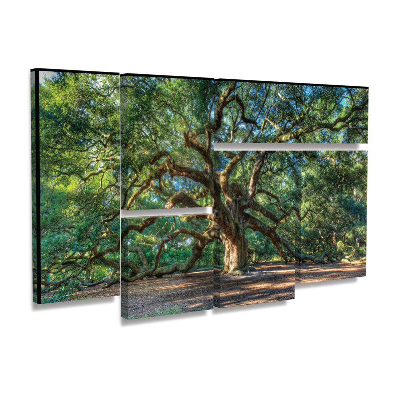 « ange oak charleston », reproduction de photo à multiples images sur toile tendue