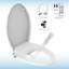 Toilette allongée une pièce 1,28 GPF (économe en eau)